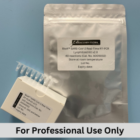 BioA™ SARS-CoV-2 Real-Time PCR Kit v2.0