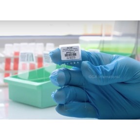 Xylene and Chemical Resistant Labels