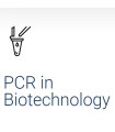 PCR in Biotechnology