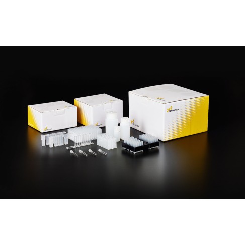 NX-48S - Genolution Extraction Kit