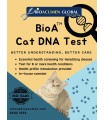 BioA™ Cat DNA Test Kit