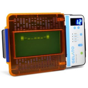 Gelato Electrophoresis and Visualization System