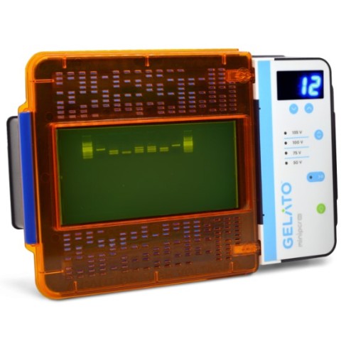 Gelato Electrophoresis and Visualization System