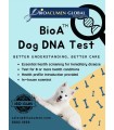 BioA™ Dog DNA Test Kit