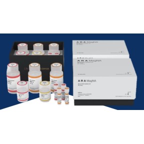 ARA Magna Kit