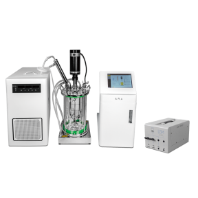 G-FL-Laboratory Fermentors