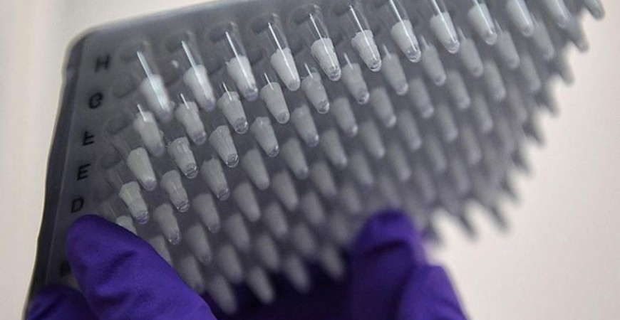 Applications of Freeze-drying
