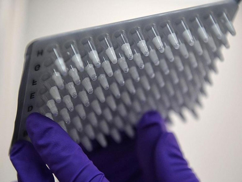 Applications of Freeze-drying