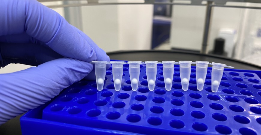 Freeze-dried Covid PCR test kits being developed in Singapore