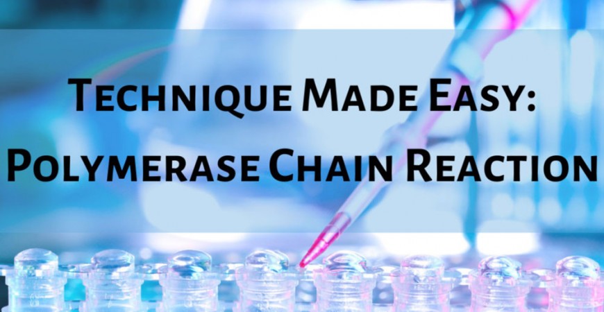 Polymerase Chain Reaction