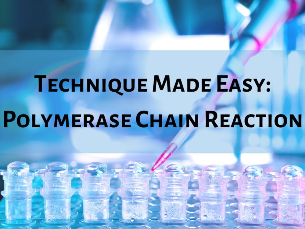 Polymerase Chain Reaction