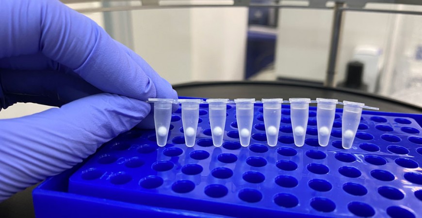 Lyophilisation (Freeze-drying) of PCR Assays