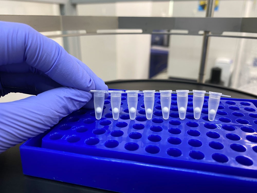 Lyophilisation (Freeze-drying) of PCR Assays